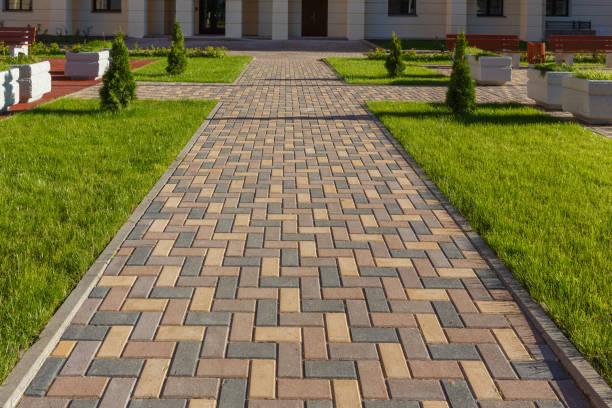 Best Driveway Paving Company  in Grayslake, IL